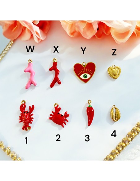 Collier 5 Charm's acier inoxydable